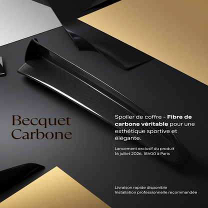 Becquet coffre fibre de carbone BMW F30 M3
